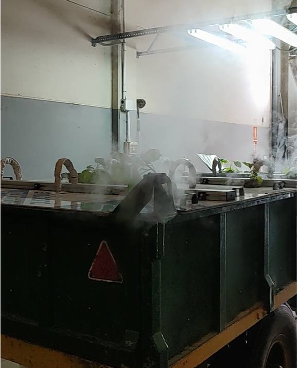 Desinfección de sustrato (DFTerm®) caso exito agrenvec 1. Generadores de vapor industrial Giconmes